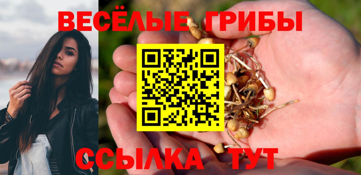 Белорецк  Галлюциногенные грибы MAGIC MUSHROOMS  Псилоцибиновые грибы Psilocybe  где купить   Вход с VPN 