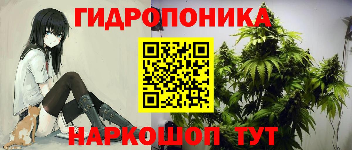 Белорецк  Марихуана семена  Вход с VPN  Марихуана Bruce Banner  Бошки марихуана планчик 